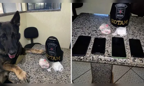 MP bloqueia R$ 15 mi e desarticula rede criminosa em São João do Ivaí