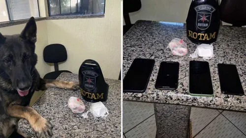 Operação foi na manha desta terça-feira