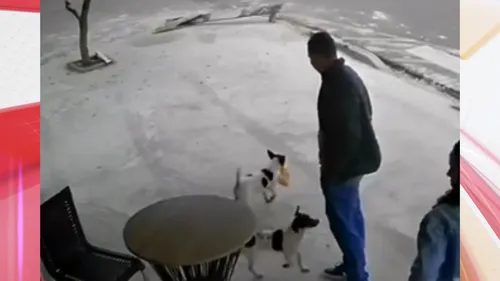 Pequenos ladrões foram flagrados levando um pacote com pururuca