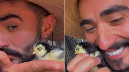 Pintinho do Paraná com sobrancelha rouba a cena na web; veja