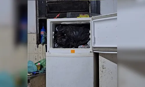 Médico é preso após ser flagrado com cães congelados no freezer de casa