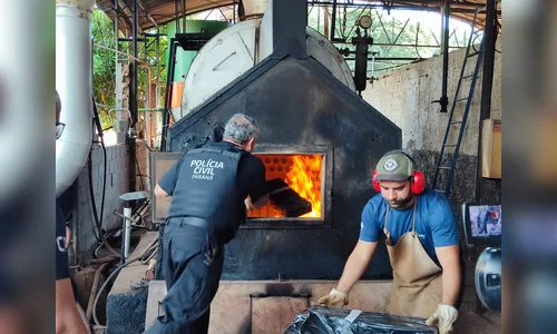 Policia Civil de Apucarana incinera mais de 200 quilos de droga