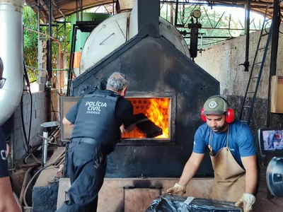 Policia Civil de Apucarana incinera mais de 200 quilos de droga