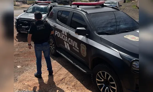 Polícia Civil de jandaia do Sul prende mulher por furto em Marumbi