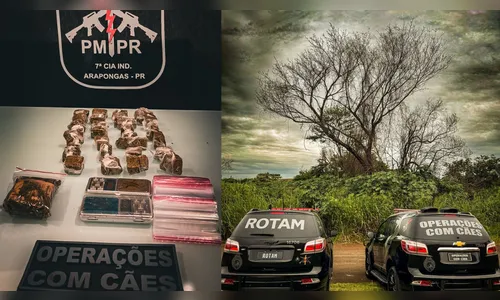 Polícia apreende drogas e balanças em área de mata em Arapongas