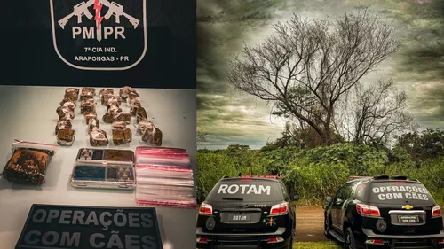 Polícia apreende drogas e balanças em área de mata em Arapongas