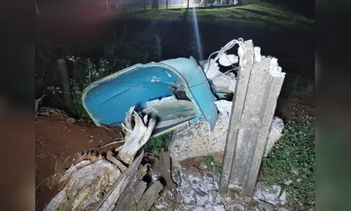 Caminhão derruba poste e 'orelhão' em estrada de Apucarana; vídeo