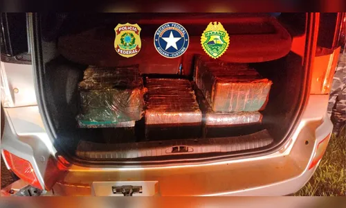 Quase 120 quilos de maconha são apreendidos em carro furtado no PR