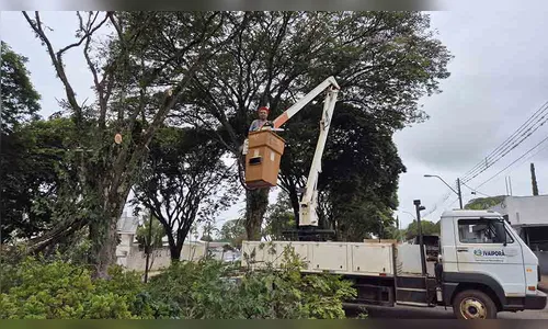 Secretário arregaça as mangas e faz poda de árvores em Ivaiporã