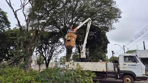 Secretário arregaça as mangas e faz poda de árvores em Ivaiporã