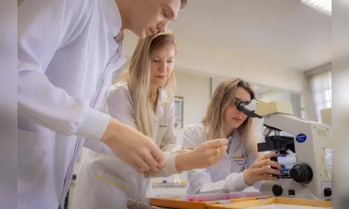 Pesquisadores do Paraná estão entre os 10% mais influentes do mundo