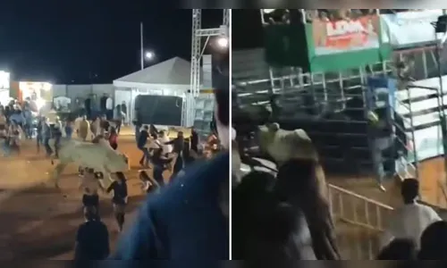 Touro escapa e persegue público durante rodeio; assista ao vídeo
