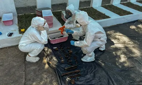 Três prateleiras de cada lado armazenavam o material, organizado por tipo de osso