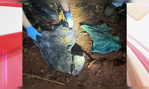 Suspeito confessa que agricultor desaparecido no PR foi esquartejado