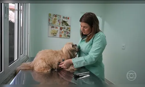 Vizinho ameaça, agride e é acusado de matar animais em Foz do Iguaçu