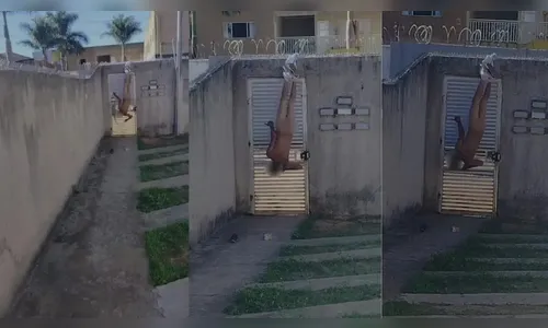 Homem fica pendurado pela calça ao tentar invadir casa da ex