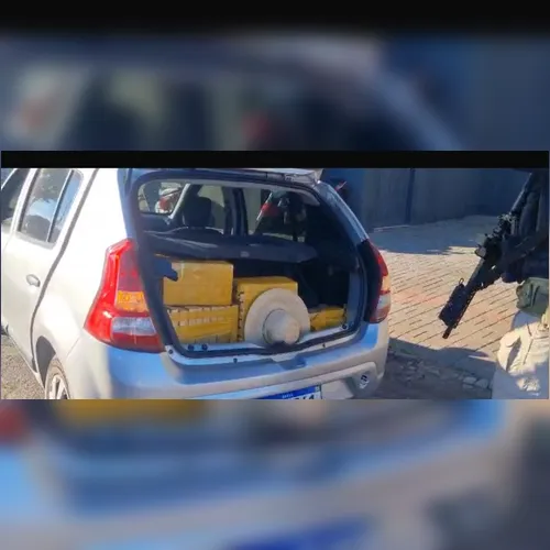 PRF apreende quase meia tonelada de maconha em Arapongas