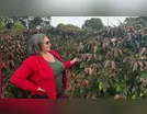 Agricultura