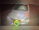 Pedestre morre após ser atropelado na PR-424, no Norte do PR