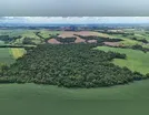 Região ganha mais áreas de proteção com incentivo do ICMS Ecológico