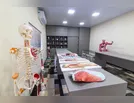 Faculdade Honpar abre inscrições para o vestibular de Medicina 2025