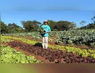 Compra Direta leva alimentos a 9 mil pessoas na região de Ivaiporã