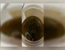 Bebê é intoxicado após ingerir mistura de álcool e maconha