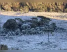 Cidade no Brasil registra -6,5°C, recorde de frio em 2025; saiba onde