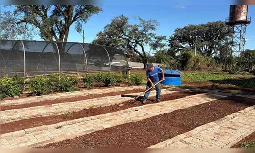 Ivaiporã prepara horta escola para crianças da rede pública