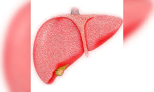 Quase metade dos adultos na América Latina tem gordura no fígado; saiba o que fazer