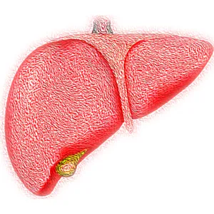 A patologia é caracterizada pelo acúmulo anormal de lipídios nas células hepáticas