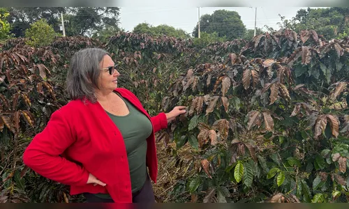 Produtores rurais contabilizam prejuízos com geadas na região