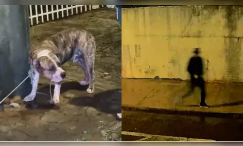 Homem tem braço e perna dilacerados por cão no PR; veja o vídeo