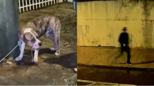 A vítima foi encaminhada ao Hospital Universitário