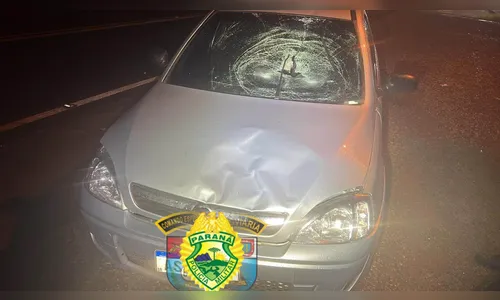 Pedestre morre após ser atropelado na PR-424, no Norte do PR