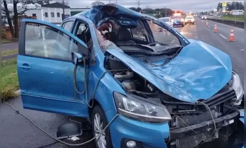 Cavalo morre e homens ficam feridos após acidente no Paraná