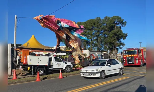 Soltar balões é crime, causa danos à rede elétrica e risco de vida