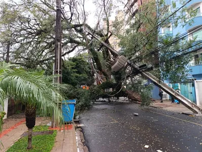 Árvore atingiu carro e danificou seis postes de energia
