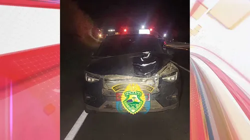 Atropelamento ocorreu no início da noite de segunda-feira