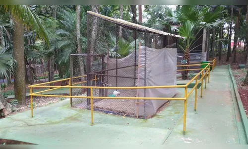 Apucarana garante proteção contra o frio a animais do bosque