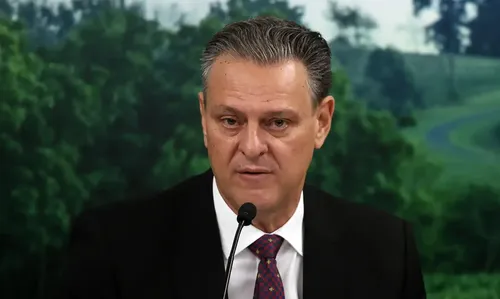 Brasil registrou um único caso de gripe aviária