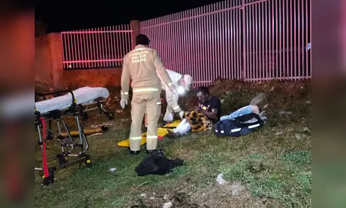 Homem tenta invadir empresa, é atacado por cães e fica pelado no PR