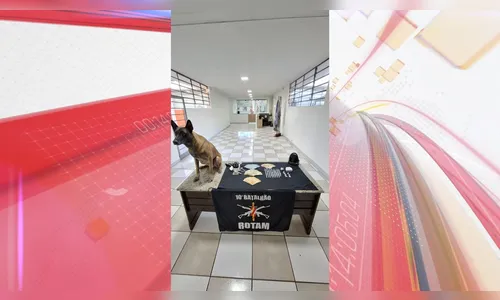 Rotam prende casal por tráfico de drogas em Apucarana