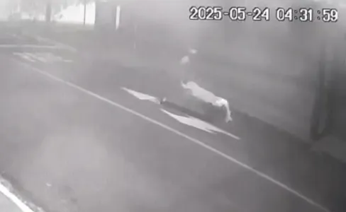 Corpo foi levado em carinho de mão no centro de Apucarana, no Norte do Paraná