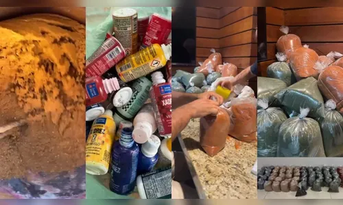 Corpus Christi em Apucarana resgata tradição dos tapetes orgânicos