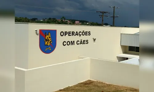 Jovem é encaminhado após cães da PM acharem droga na Vila Regina