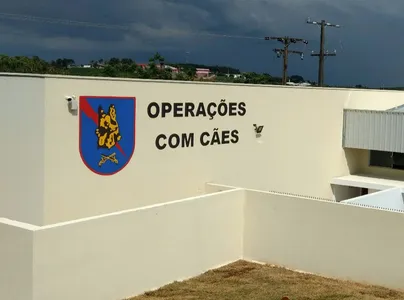 Durante a varredura, os policiais localizaram no quarto do suspeito uma caixa contendo uma balança de precisão, embalagens plásticas semelhantes às que armazenavam a droga e certa quantia em dinheiro.