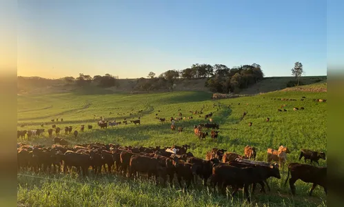 Adapar recebe Japão para auditorias sanitárias de carne bovina e suína