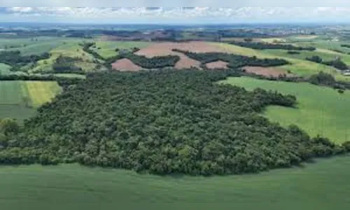 Região ganha mais áreas de proteção com incentivo do ICMS Ecológico