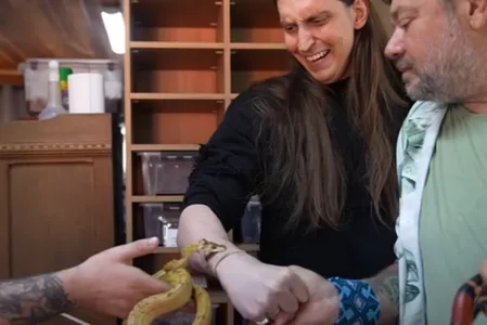 Felca demonstrou preocupação